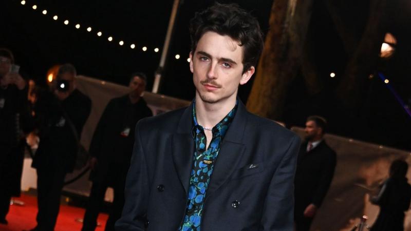 Timothée Chalamet az első férfi, aki James Dean óta, 30 éves kora előtt két Oscar-jelölést tudhat magáénak – számol be a Life.