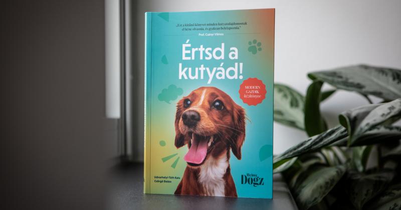 Fedezd fel mindazt, amit valaha is szeretettél volna megtudni a hűséges társadról, de eddig bátortalan voltál megkérdezni!
