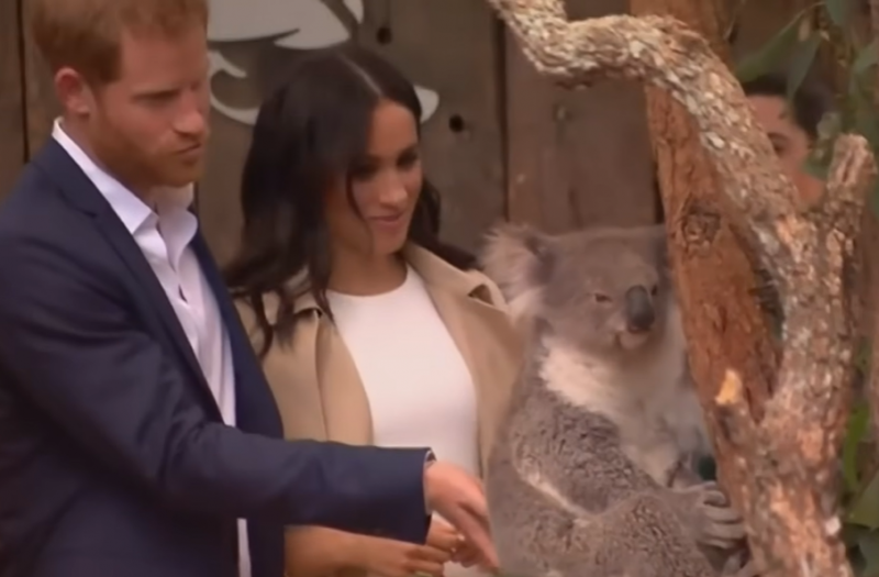 A királyi YouTube-csatorna különleges, eddig sosem látott felvételekkel ünnepelte Meghan Markle 44. születésnapját.