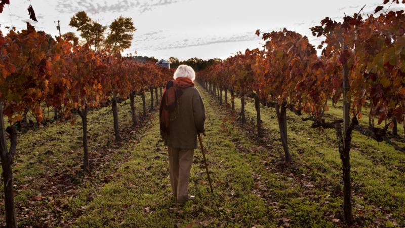 A 2026-os évben előreláthatólag bevezetésre kerül a 14. havi nyugdíj Magyarországon. De kik is lesznek azok, akik jogosultak erre a juttatásra? Eddig a következő információkat tudtuk meg a Pénzcentrum forrása alapján.