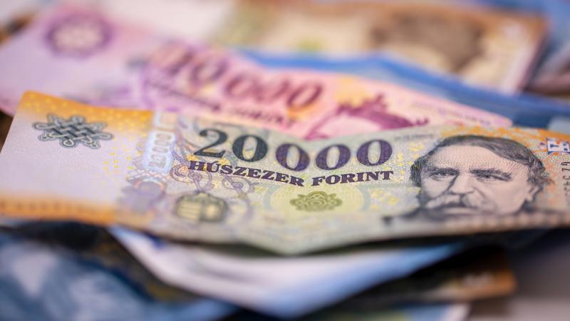 Az ING elemzői szerint a pénzpiac már előre számolt a kormány várható intézkedésével, így a kamatlábak mellett a forint stabilitása sem fenyegetett.